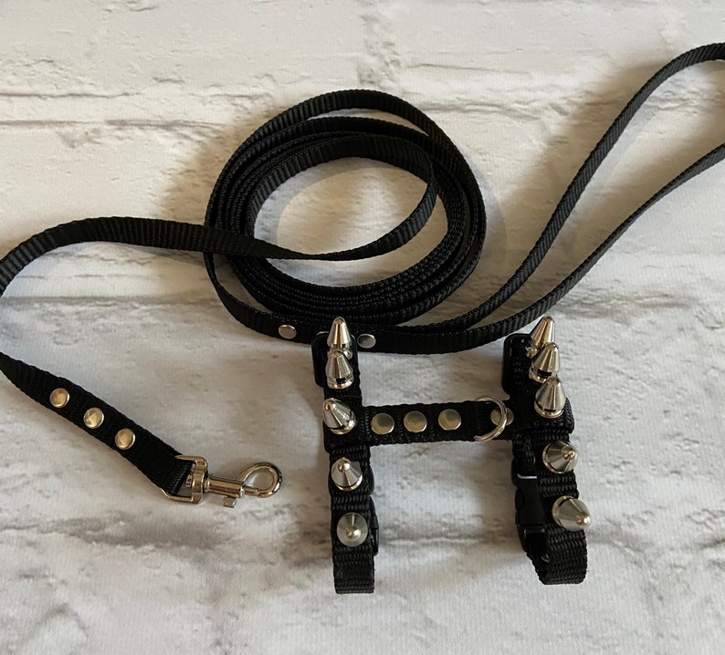 Brutal harness for male ferrets. walk with a ferret in a beautiful and comfortable harness. perfect gifts. collar ferret image 8