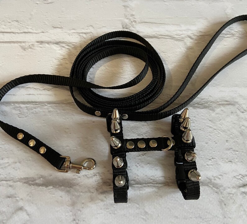 Spiksele med koppel för iller: Justerbart halsband för husdjur bild 8