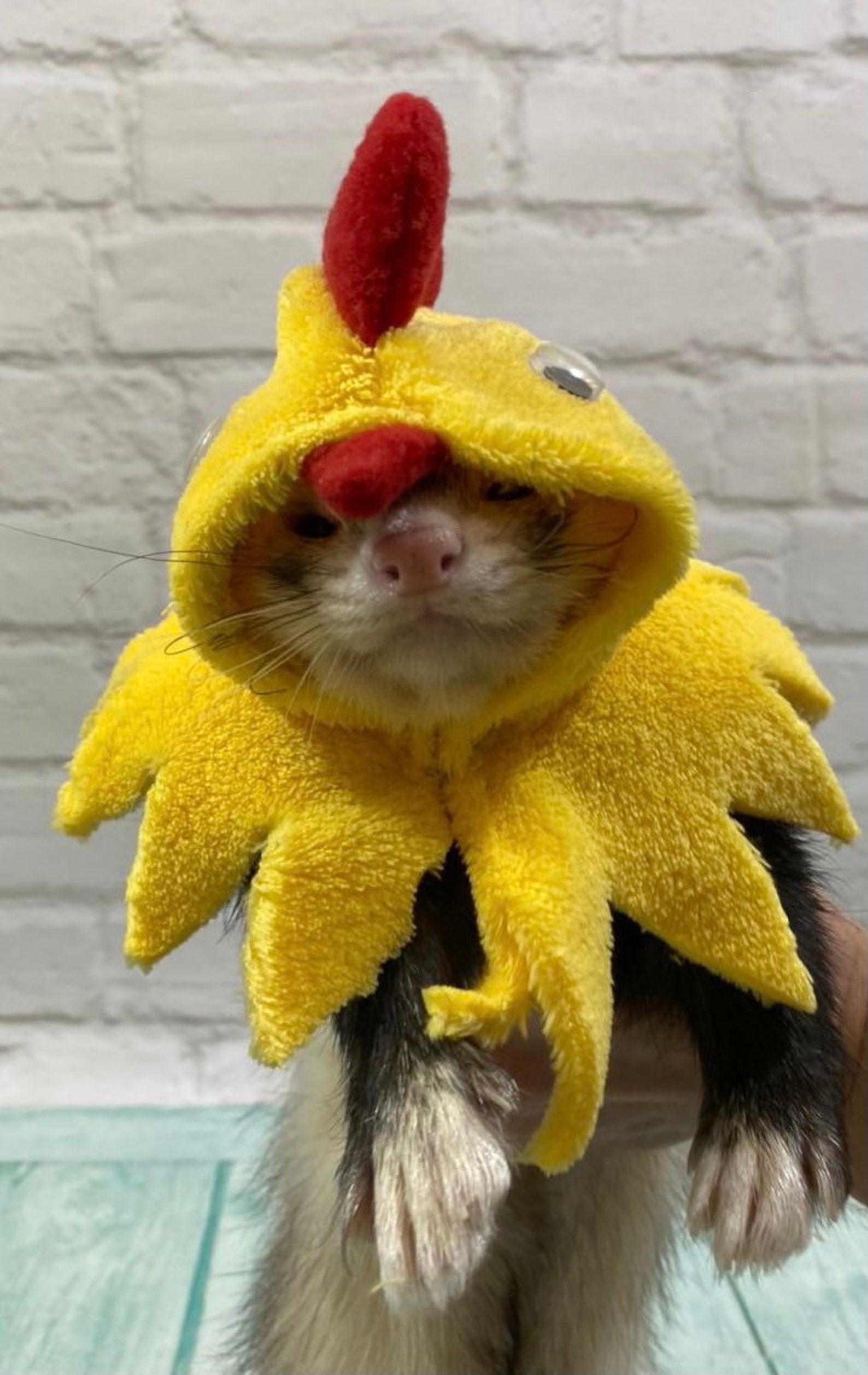 Yellow chicken costume chicken ferret costume chicken Etsy