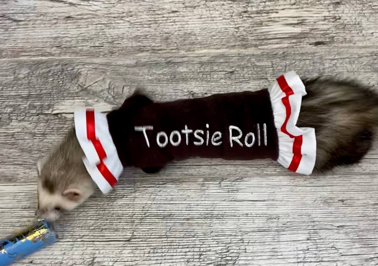 12+ Tootsie Roll Costume