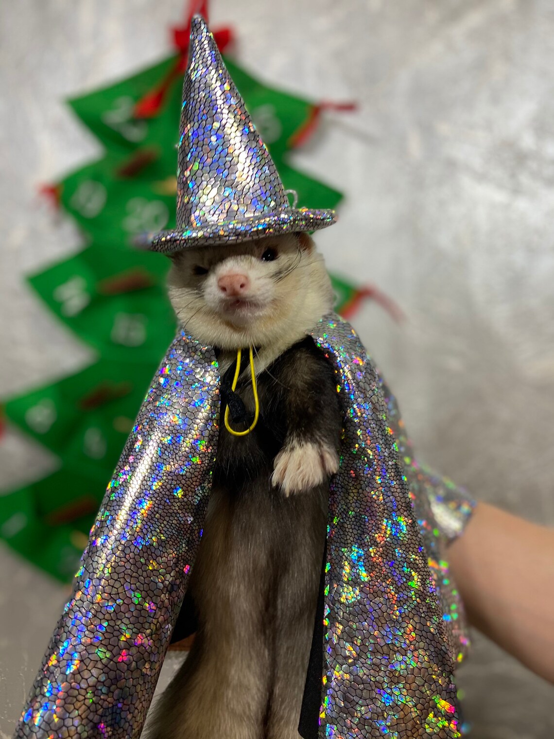 Wizard ferretсhristmas for the ferret gift for ferret owner Etsy