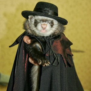 Count Dracula's Cape Halloween Vampire Cape Halloween Ferret. Suit for Ferrets. Christmas. Dracula. Vampire