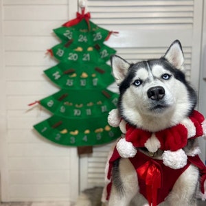 Dog advent calendar Countdown to Christmas Pet advent calendar image 3