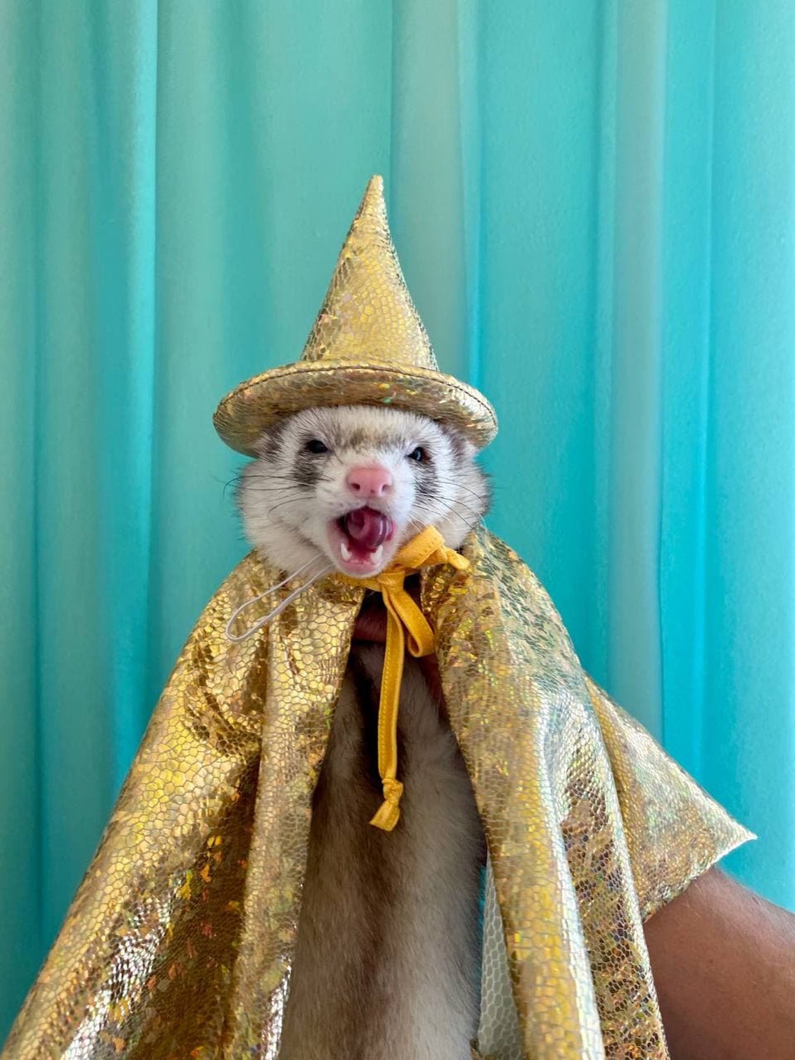 Halloween Ferret Costume Magical Ferret Costume Ferret Etsy