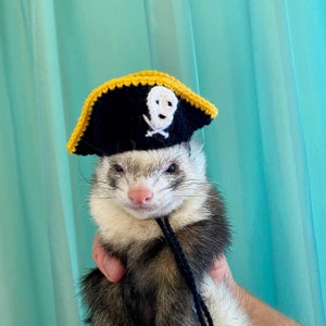 Ferret Pirate Hat, Halloween Knitted Hat for Pets,bandit ferret