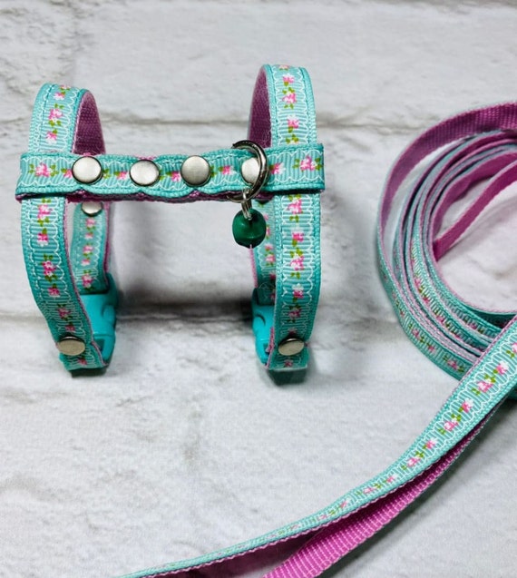 Ferret Harness Harness and Leash for Walking With a Ferret Etsy