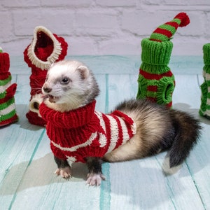 Harry Styles ferret knitted sweater. clothes for ferret
