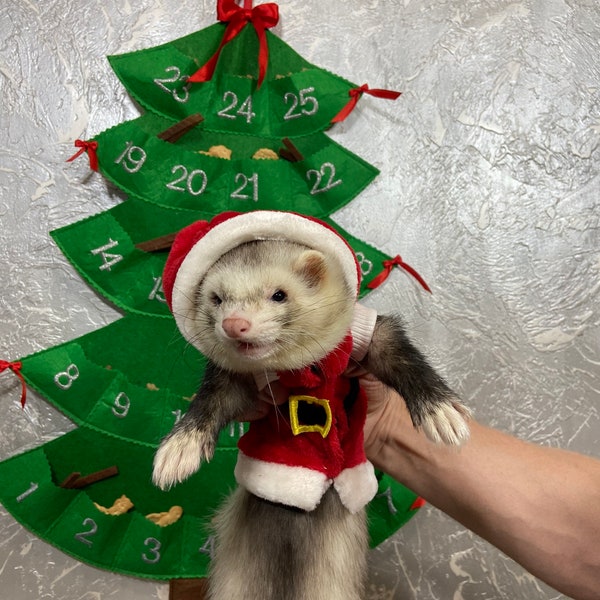 Noël pour furet, furet mignon, cadeau pour propriétaire de furet, accessoires pour furet, chapeau de furet, cadeau de furet, jouets de furet, amoureux de furet, costumes de père Noël