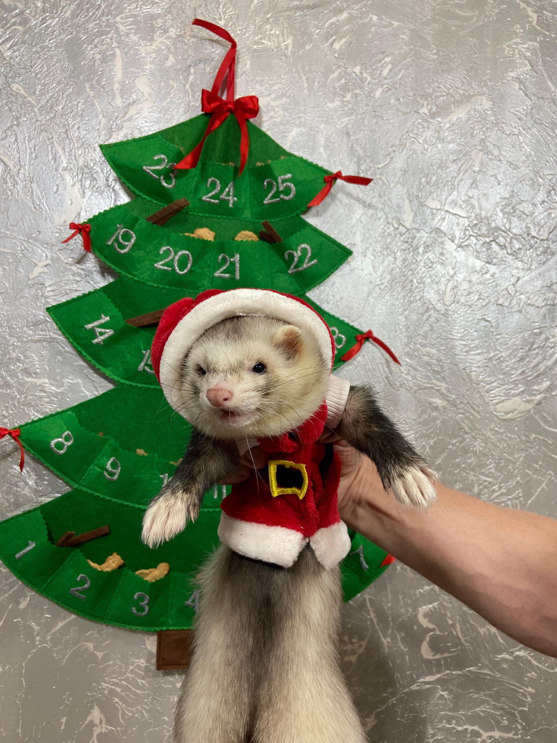Holiday Pet Gifts Chocolate Ferret Santa Hat Porcelain Ornament 
