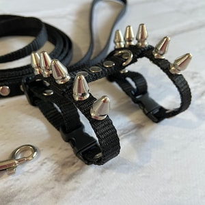Spiksele med koppel för iller: Justerbart halsband för husdjur bild 2