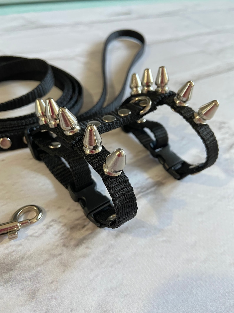Spiksele med koppel för iller: Justerbart halsband för husdjur bild 2