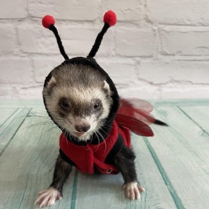 Ladybug Halloween Costume for Ferrets Clothes Funny Party Accessory for Pets