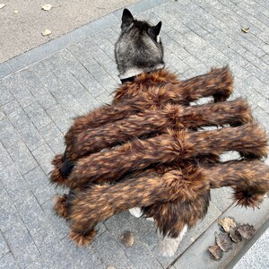Op de afbeelding: Een zwarte en grijze hond die een bruin en zwart spinnenkostuum draagt. Het kostuum heeft meerdere harige poten.