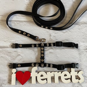 Brutal harness for male ferrets. walk with a ferret in a beautiful and comfortable harness. perfect gifts. collar ferret image 4