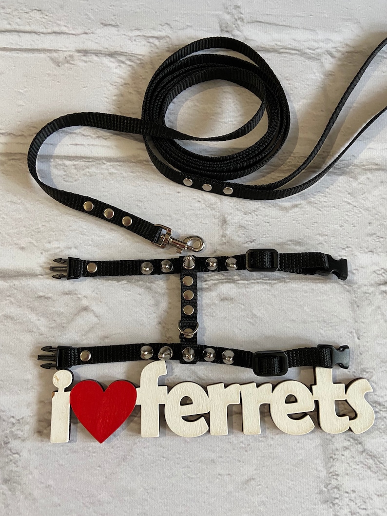 Spiksele med koppel för iller: Justerbart halsband för husdjur bild 4