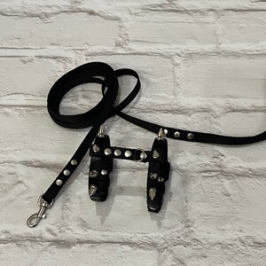 Spiksele med koppel för iller: Justerbart halsband för husdjur bild 3