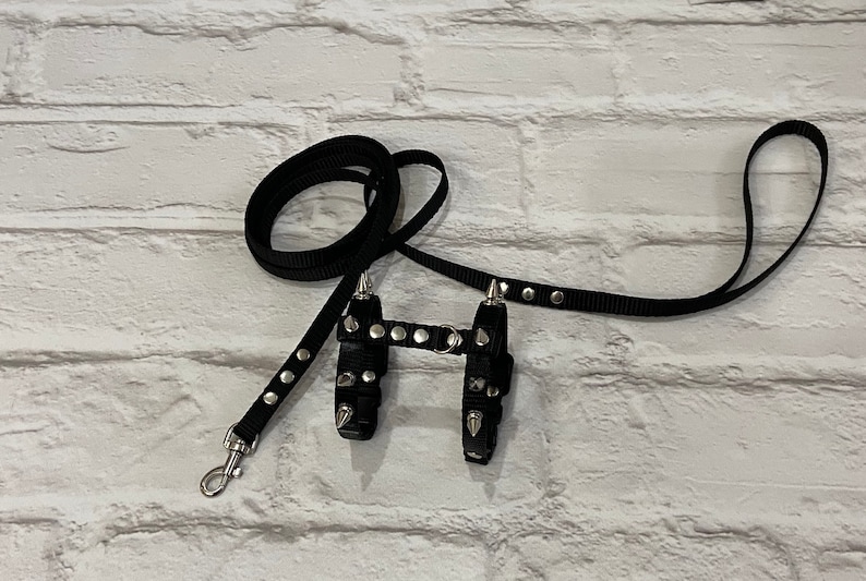 Brutal harness for male ferrets. walk with a ferret in a beautiful and comfortable harness. perfect gifts. collar ferret image 3