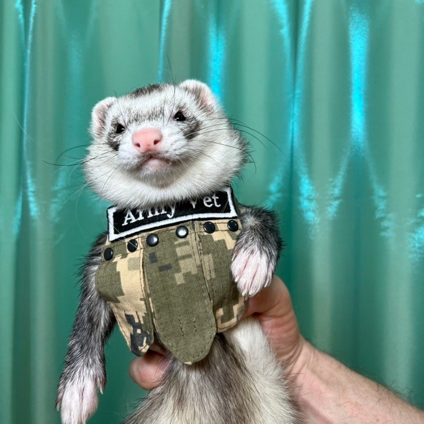 rosymonster❤️ferret knit vest Girlboss Vest – Wool and Buggers