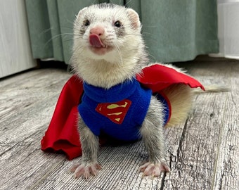 Déguisement, cape et masque de furet Superman. Déguisement furet Halloween SuperFerret. Déguisement furet à thème