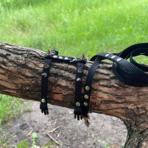 Spiksele med koppel för iller: Justerbart halsband för husdjur bild 7