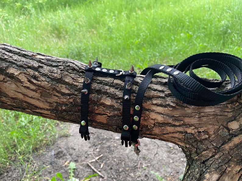 Brutal harness for male ferrets. walk with a ferret in a beautiful and comfortable harness. perfect gifts. collar ferret image 7