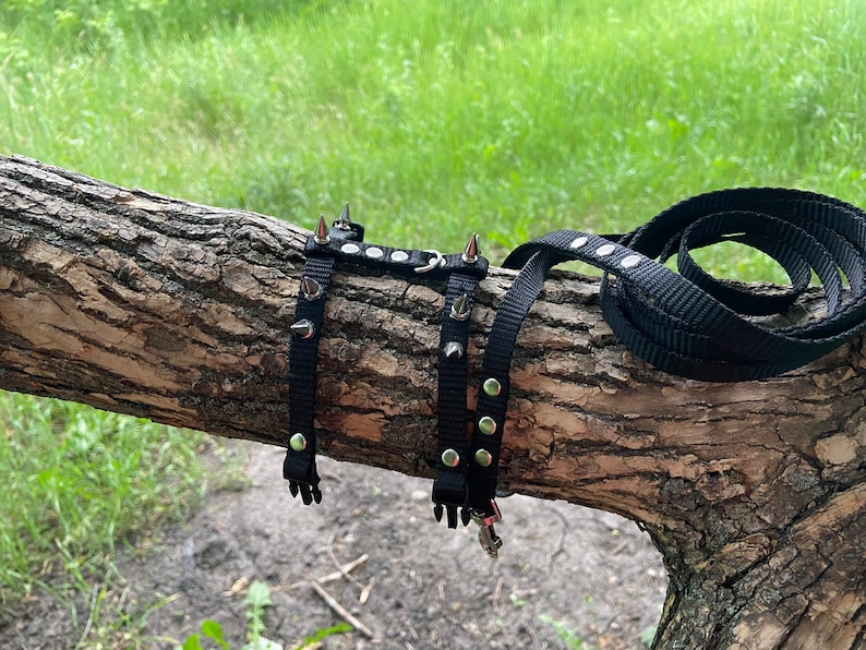 Spiksele med koppel för iller: Justerbart halsband för husdjur bild 7