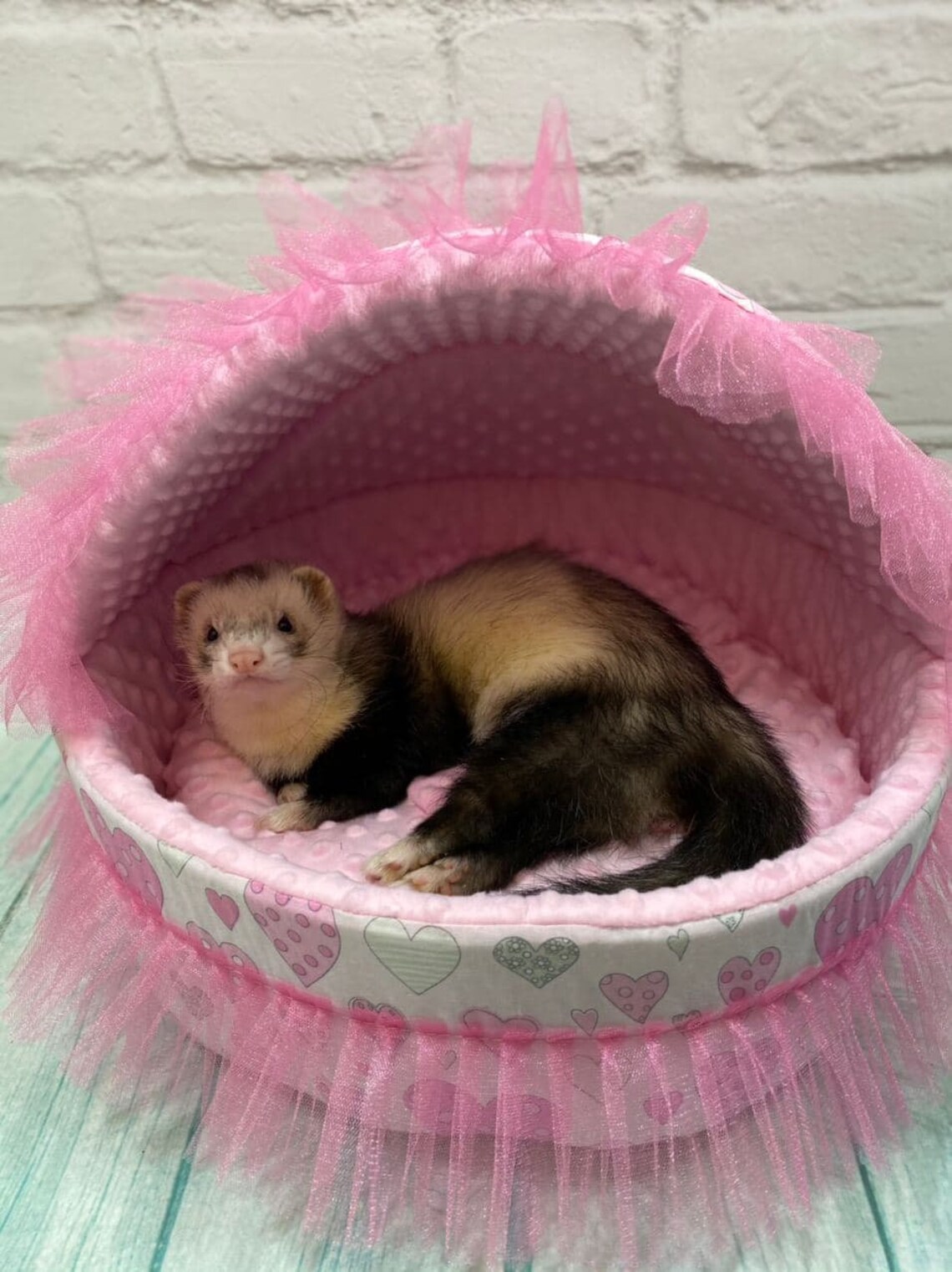 Ferret bed.Gentle pastel for ferrets. seat with a hood plush Etsy