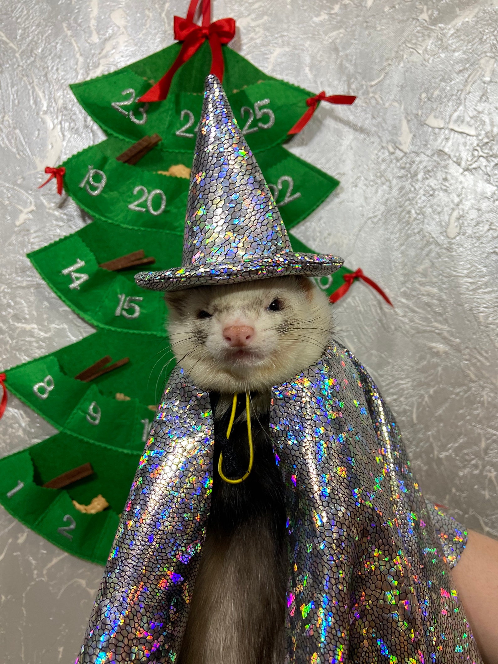 Wizard ferretсhristmas for the ferret gift for ferret owner Etsy