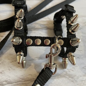 Brutal harness for male ferrets. walk with a ferret in a beautiful and comfortable harness. perfect gifts. collar ferret image 1
