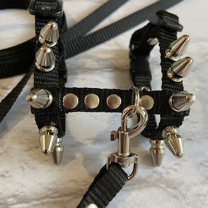 Brutal harness for male ferrets.  walk with a ferret in a beautiful and comfortable harness. perfect  gifts. collar ferret