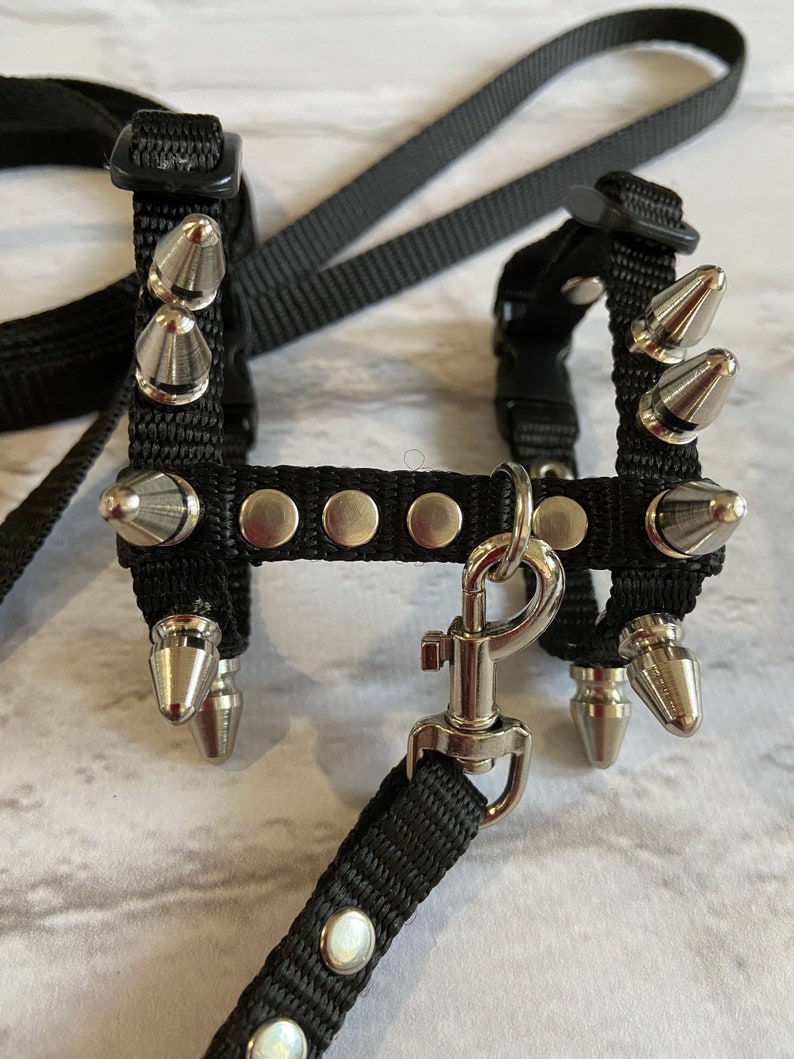 Spiksele med koppel för iller: Justerbart halsband för husdjur bild 1