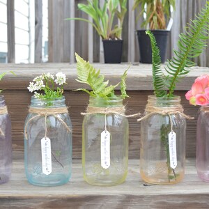 May include: Five glass mason jars with different colored paint, each filled with a different type of greenery and a small tag that says "Happy Mother's Day".