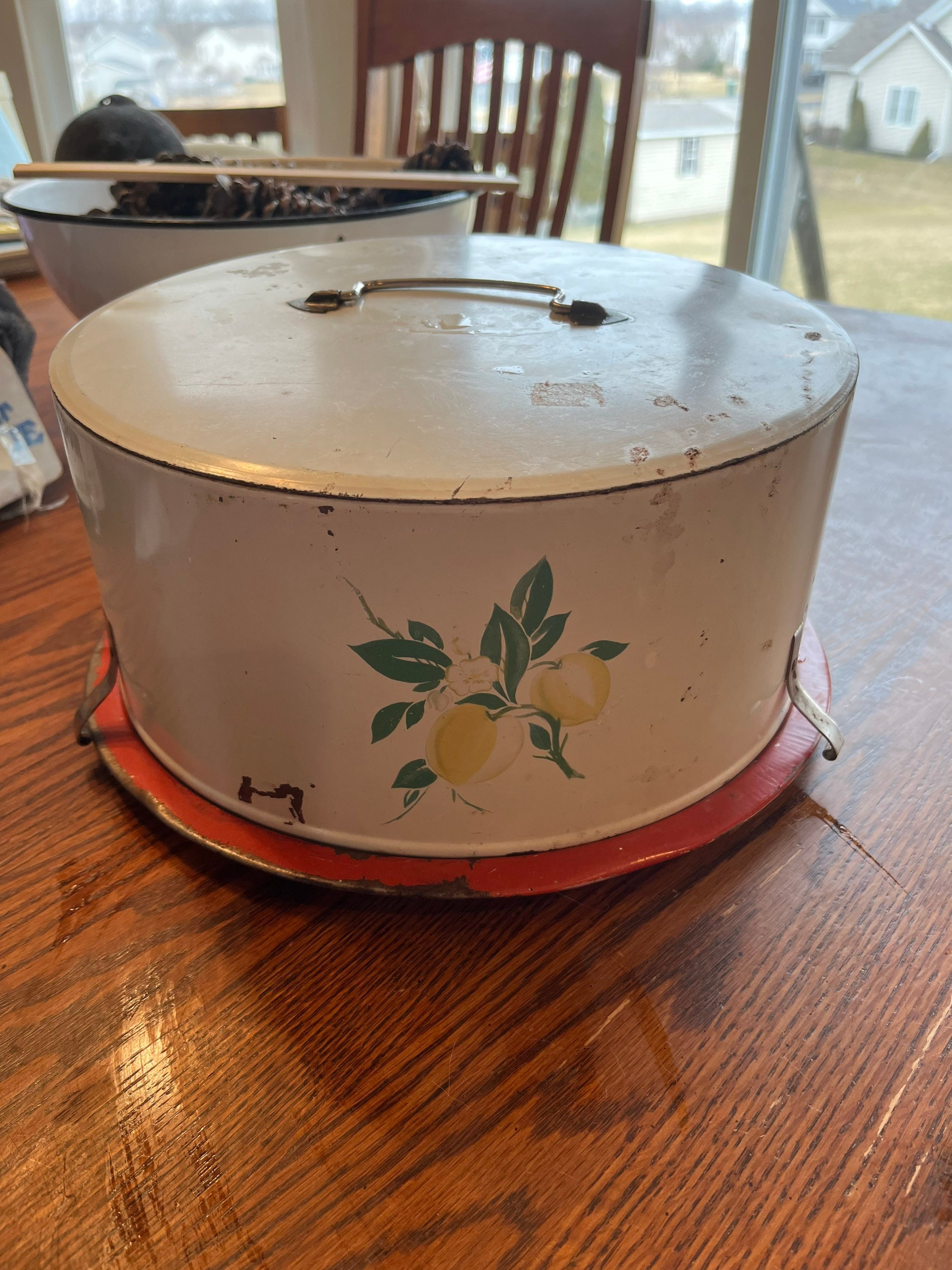 Aggregate 144+ cake carrier best kidsdream.edu.vn