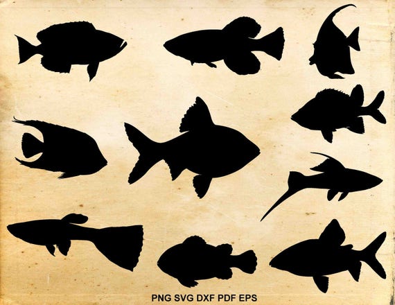 Download Fish Svg File Fish Clipart Nautical Svg Fish Silhouette Etsy