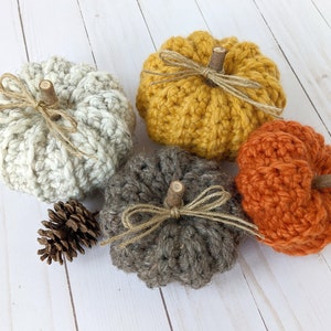 May include: Four crocheted pumpkins in various colors, including white, yellow, orange, and brown. Each pumpkin has a small wooden stem and a twine bow.