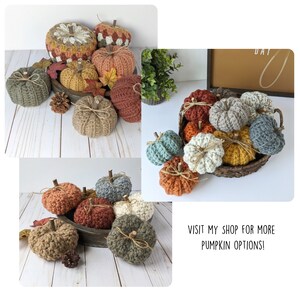 May include: A collection of crocheted pumpkins in various colors, including orange, brown, green, and gray. The pumpkins are arranged in a basket and on a wooden surface. The text "VISIT MY SHOP FOR MORE PUMPKIN OPTIONS!" is displayed at the bottom of the image.