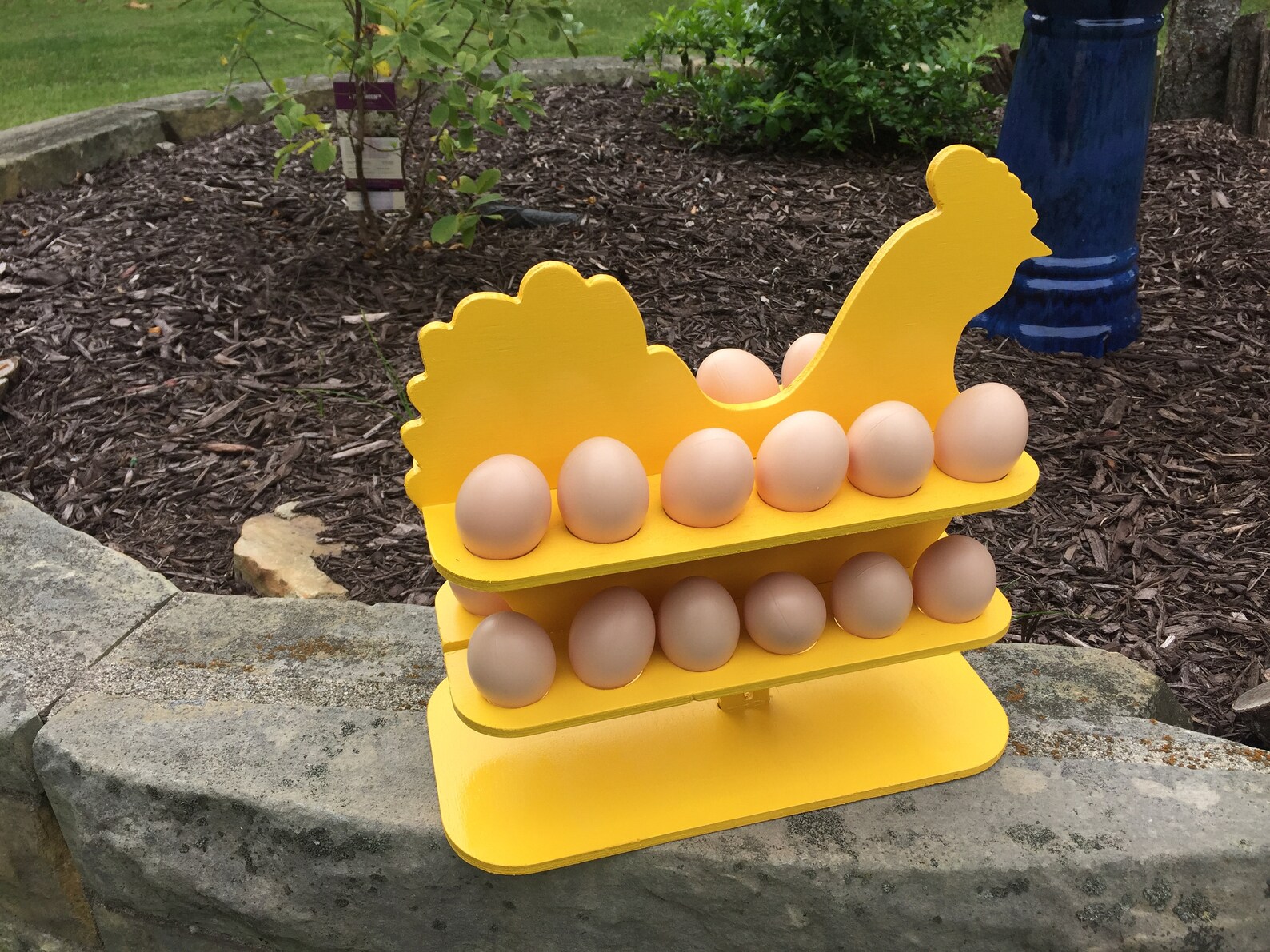 Farm Fresh Chicken Egg Holder Not Your Typical Carton of Eggs Etsy