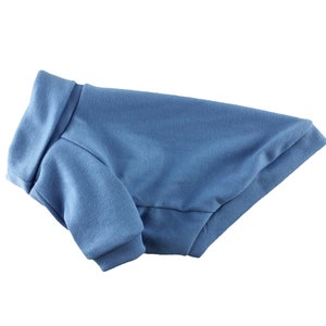 May include: A blue dog sweater with a turtleneck.