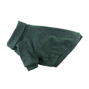 May include: A dark green turtleneck sweater for a pet. The sweater is made of a soft, comfortable material and has a relaxed fit.