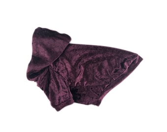 May include: A burgundy velvet hooded dog sweater.