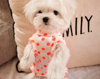 liverpool kit for dogs