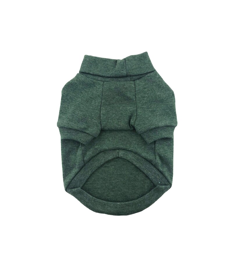 May include: A green dog sweater with a turtleneck collar and short sleeves.