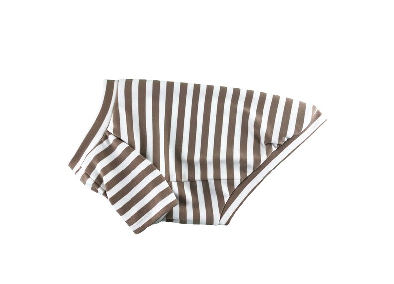 May include: A brown and white striped dog shirt with long sleeves.