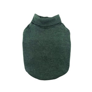 May include: A dark green turtleneck sweater for a pet. The sweater is made of a soft, comfortable material.