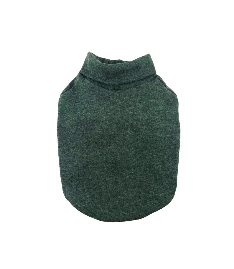 May include: A dark green turtleneck sweater for a pet. The sweater is made of a soft, comfortable material.