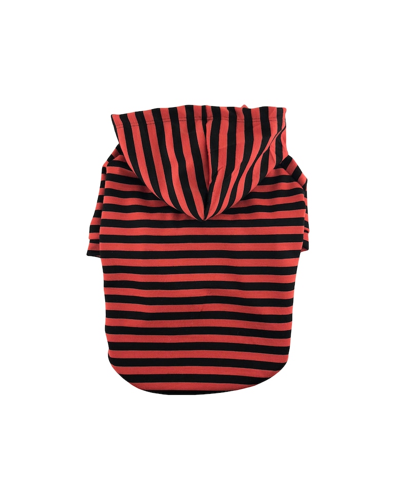 May include: Red and black striped hooded dog sweater.