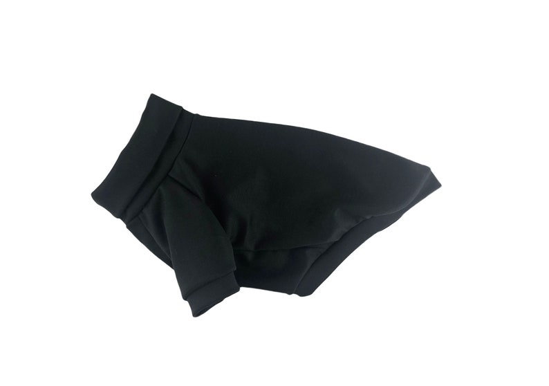 Puede incluir: Jersey negro para perro con cuello de canal&eacute; y mangas largas.