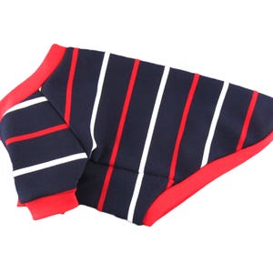 Puede incluir: Una camiseta para perro a rayas azules y rojas con rayas blancas. La camiseta tiene un ribete rojo alrededor de los bordes.