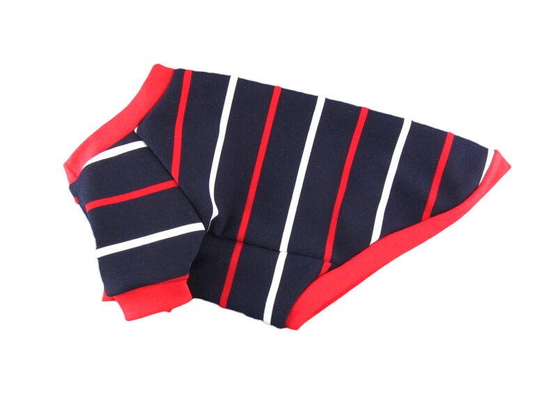 Puede incluir: Una camiseta para perro a rayas azules y rojas con rayas blancas. La camiseta tiene un ribete rojo alrededor de los bordes.