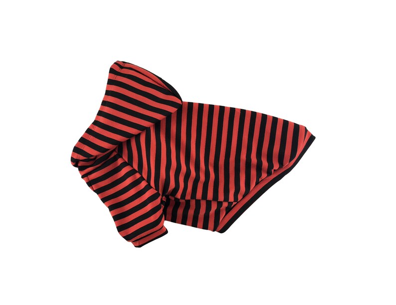 May include: Red and black striped hooded dog sweater.